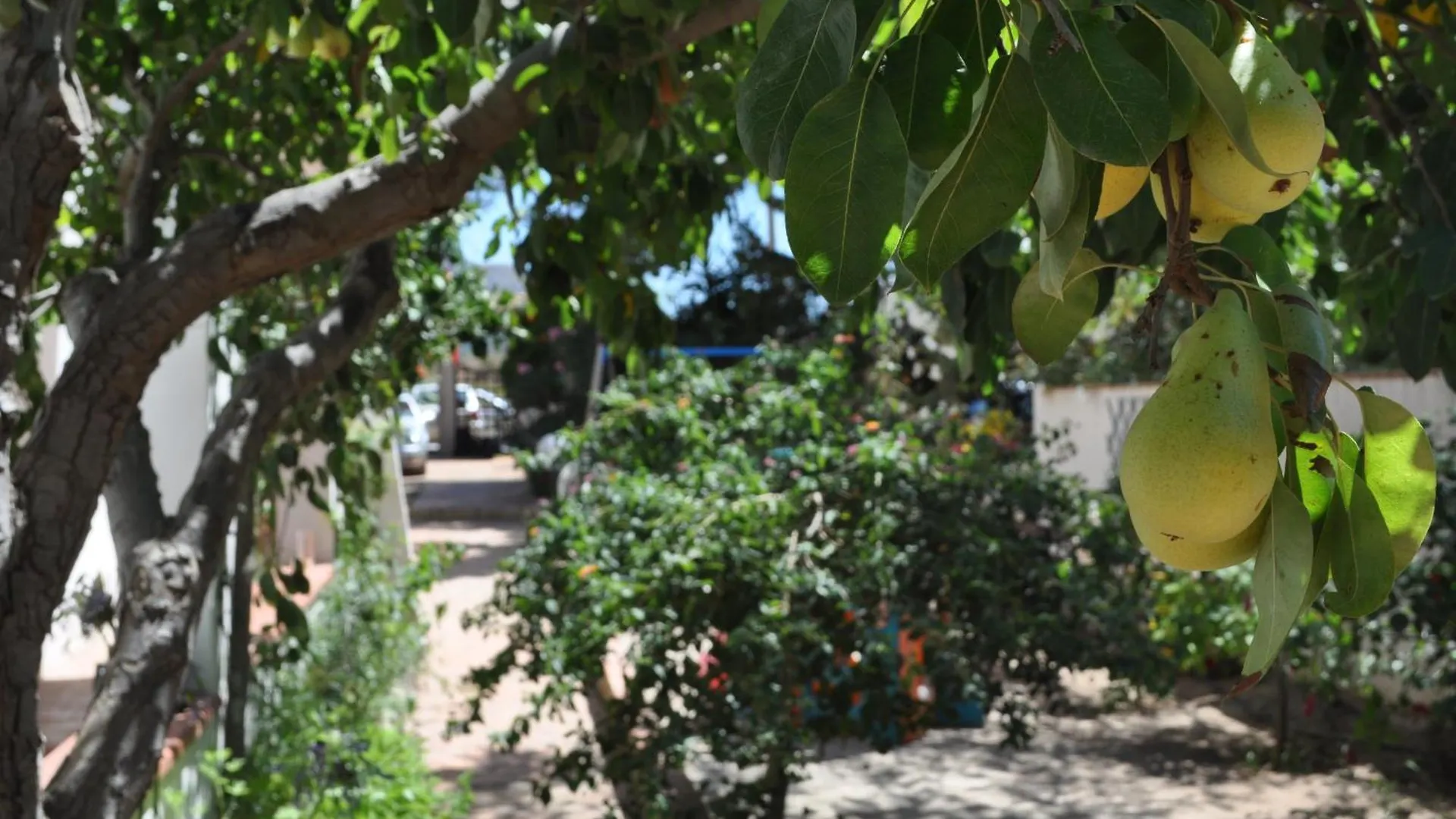 Villa Hibisco San Vito Lo Capo 0*,  Italien