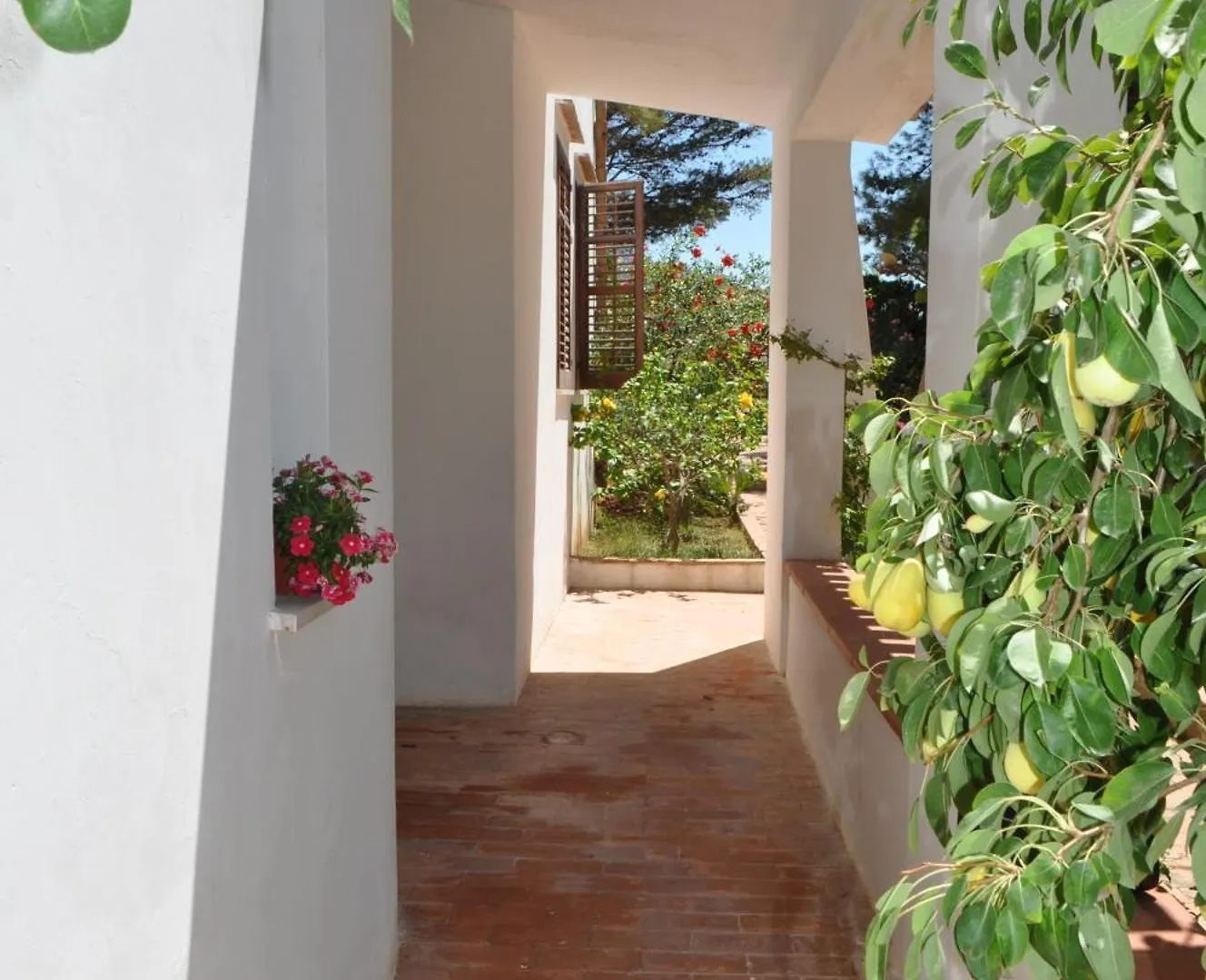 Villa Hibisco San Vito Lo Capo